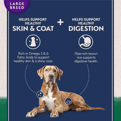 Natural Balance Limited Ingredient Large Breed Dry Dog Food - Complete Nutrition for Large Breeds - Wholesome Grains Brown Rice Recipe - Limited Ingredient Formula - 26 Lb - Lamb & Brown Rice4