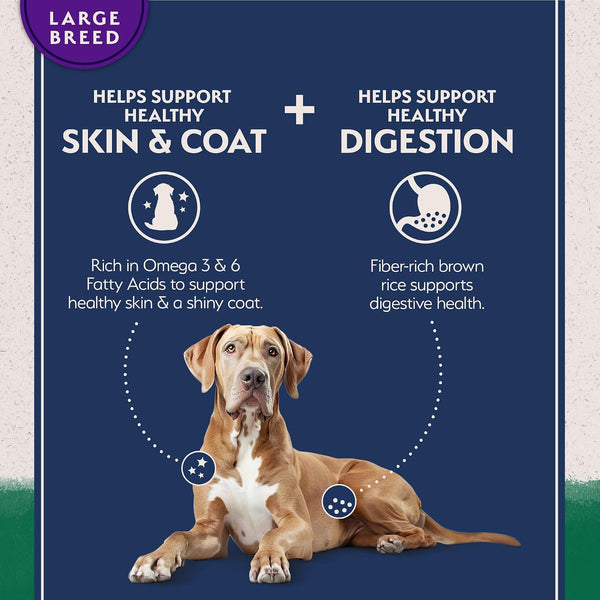 Natural Balance Limited Ingredient Large Breed Dry Dog Food - Complete Nutrition for Large Breeds - Wholesome Grains Brown Rice Recipe - Limited Ingredient Formula - 26 Lb - Lamb & Brown Rice4