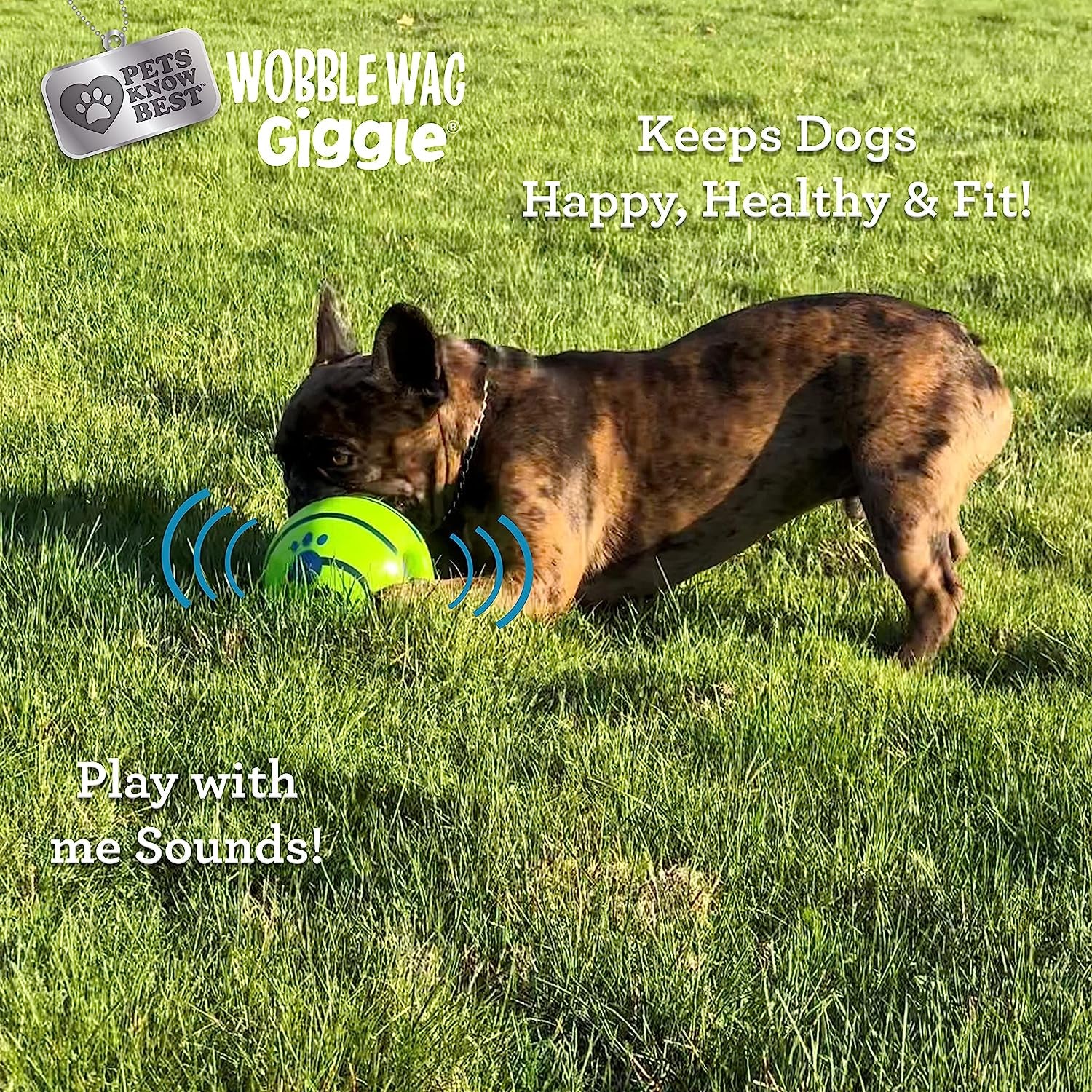 wobble-wag-giggle-ball-interactive-dog-toy-fun-giggle-sounds-when-rolled-or-shaken-pets-know-best-as-seen-on-tv