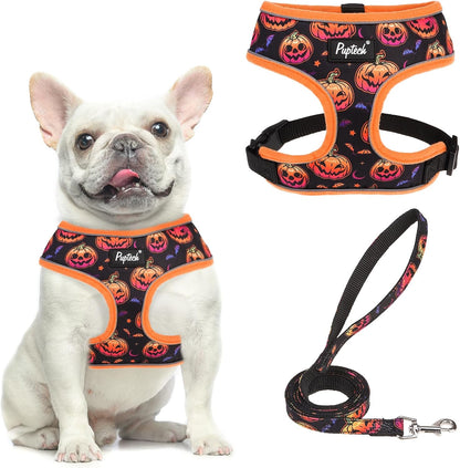PUPTECK Soft Mesh Dog Harness Small Sized and Leash Set Pet Puppy Cat Comfort Padded Vest No Pull Harnesses, Beige, S73