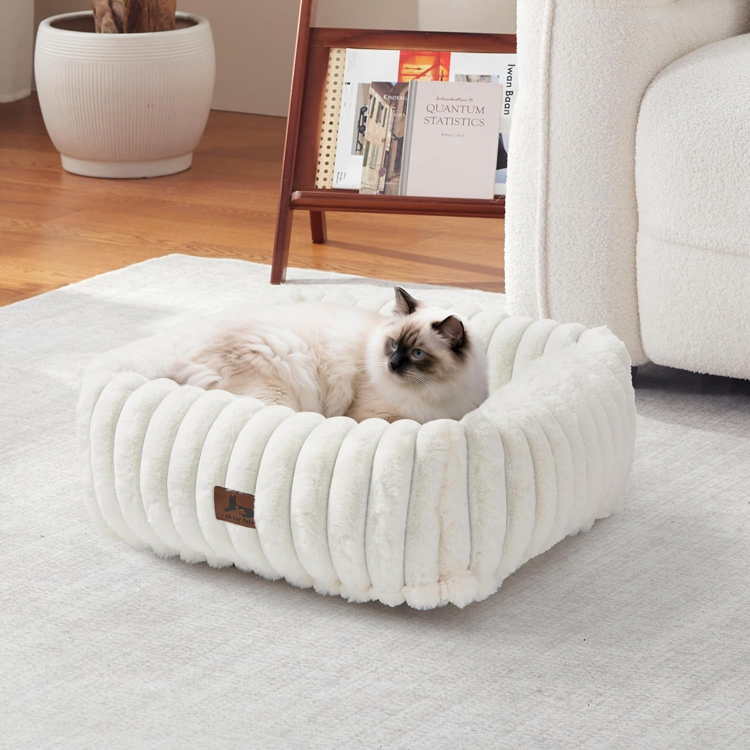 cute-dog-bed-for-small-dogs-cats-washable-fluffy-cat-beds-for-indoor-cats-rectangle-orthopedic-memory-foam-puppy-beds-with-anti-slip-bottom-20-x19-x-7-inches-cream20x19x6inchs