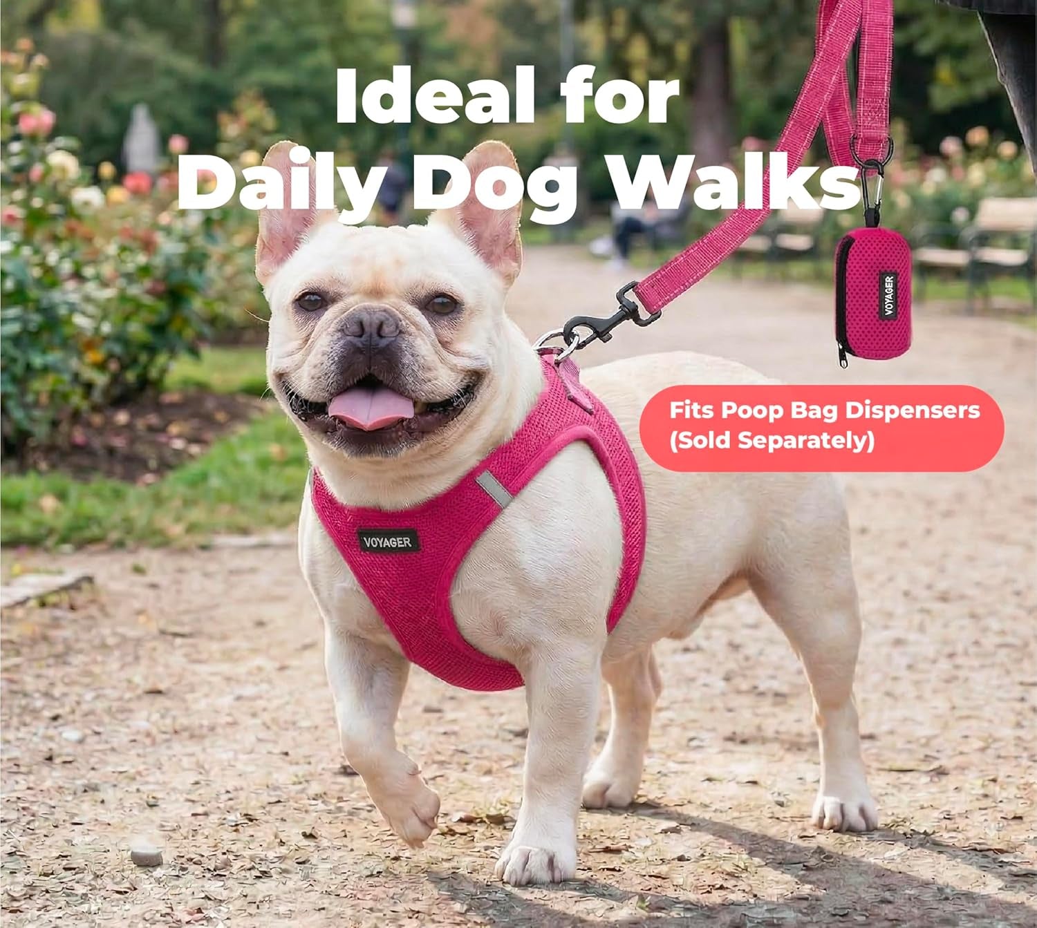 best-pet-supplies-voyager-nylon-dog-leash-fuchsia-small-5ft-in-length-5-8-in-width-reflective-soft-neoprene-handle-heavy-duty-metal-clips-for-running-walking-training