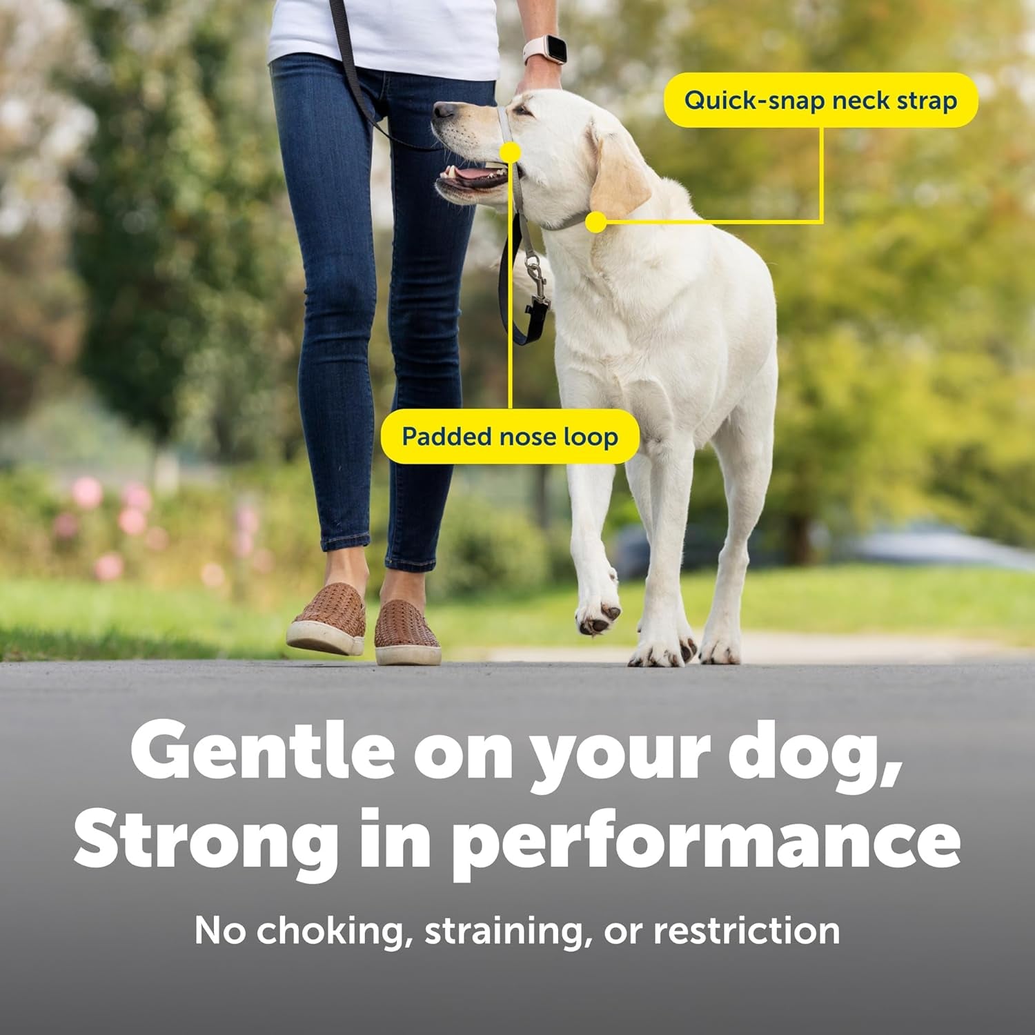 petsafe-gentle-leader-no-pull-dog-headcollar-royal-blue-medium-veterinary-behaviorist-designed-no-pull-headcollar-redirects-pulling-instinct-padded-neoprene-nose-loop-quick-snap-fit