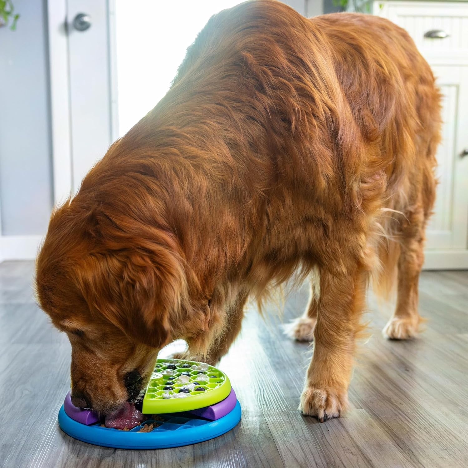 outward-hound-by-nina-ottosson-lickin-layers-3-in-1-interactive-dog-feeder-puzzle-lick-mat-slow-feeder-bowl-mental-stimulation-toy-for-medium-large-dogs-2-cup-capacity-10-4-in-x-2-8-in