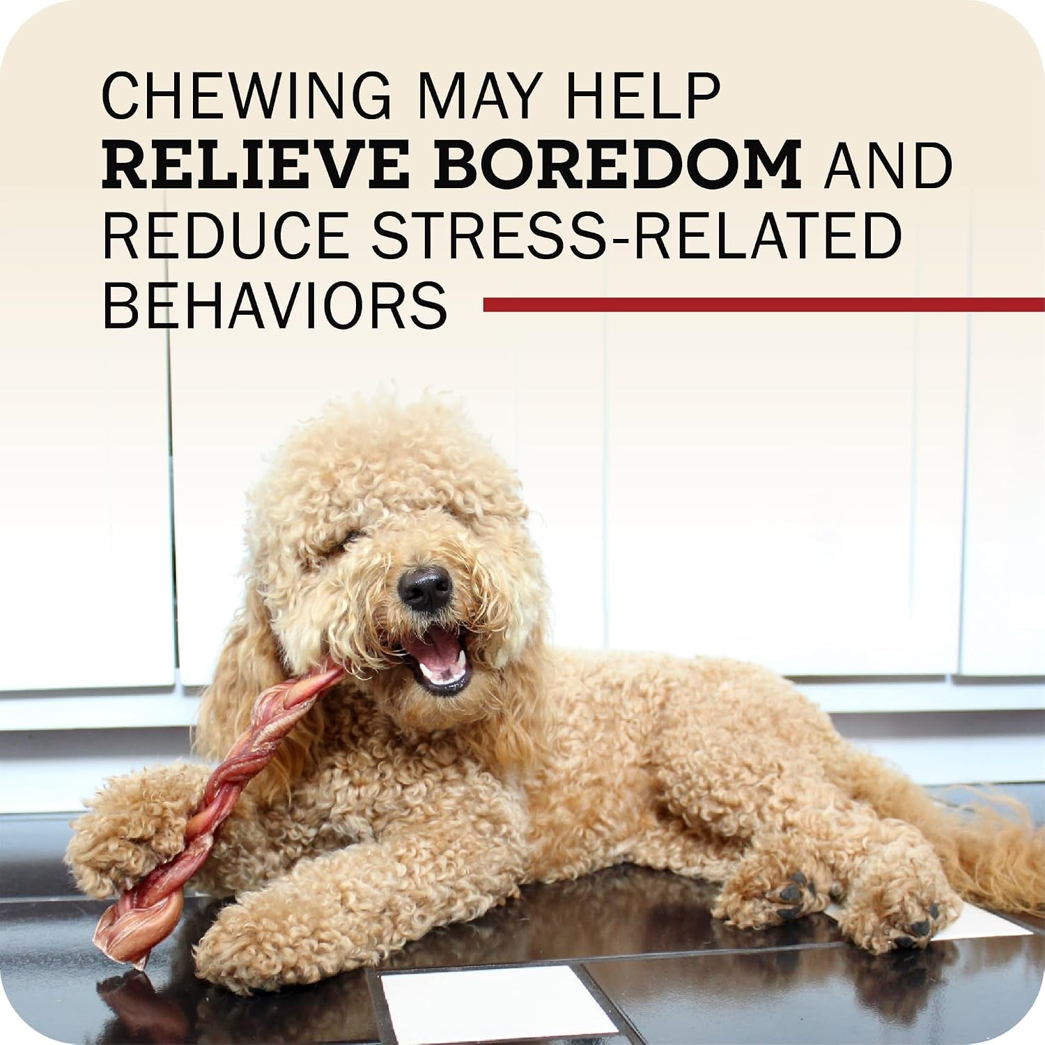 redbarn-pet-products-all-natural-5-8-braided-bully-sticks-for-small-large-dogs-healthy-long-lasting-beef-chews-variety-party-pack-single-ingredient-low-odor-rawhide-free-8-oz-bag