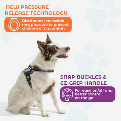 Joyride Dog Harness 2.0 | No-Pull | Blue 2.0 | M | Reflective No-Choke Quick-Fit Vest with 3 Leash Clips and Escape-Resistant Design for Easier Walks and Training7