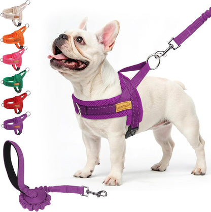 BEAUTYZOO Dog Harness No Pull, Quick Fit Dog Harness and Leash Set, Escape Proof Vest Harness with Soft Handle, Reflective Breathable Mesh Padding Harness for Medium Size Dog Training Walking, Beige M18