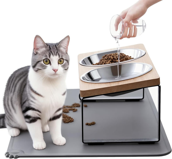 Upgraded Elevated Cat Bowls with Food Mat,15°Tilted Stand anti Vomiting Raised Cat Dishes for Food and Water,2 Stainless Steel Bowls for Cats and Puppy1