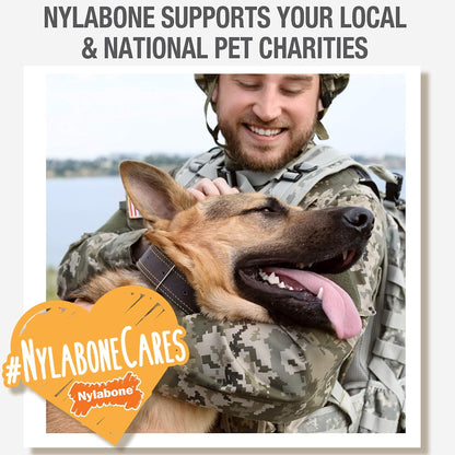 Nylabone Nubz Wild Natural Dog Treats, Bison Flavor, Small, 12 Count | Long Lasting Dog Chews, Made in USA, Limited Ingredients, Highly Digestible, Dog Dental Treats for Small Dogs up to 30 Lbs8