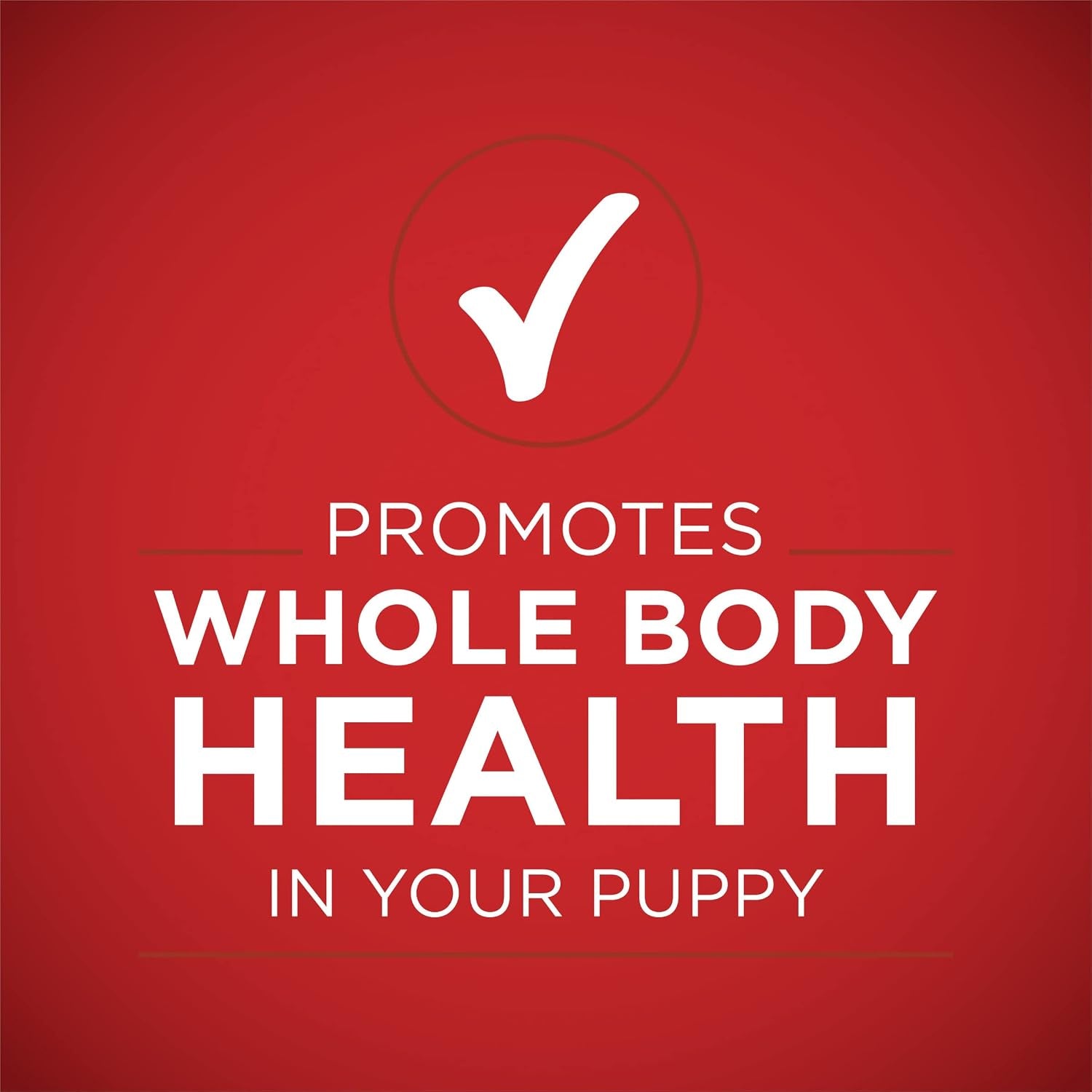 purina-one-plus-wet-puppy-food-classic-ground-healthy-puppy-lamb-and-long-grain-rice-entree-pack-of-12-13-oz-cans