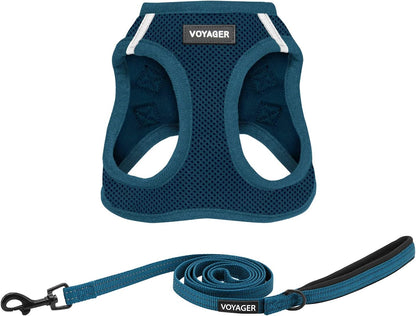 Best Pet Supplies Voyager Step-In Air All Weather Mesh Harness and Reflective Dog 5Ft Leash Combo with Neoprene Handle, for Small, Medium and Large Breed Puppies - Baby Blue, Small19