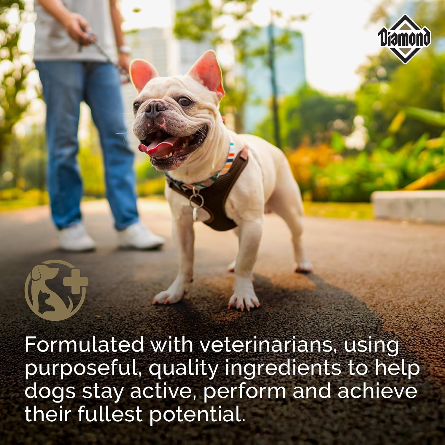 diamond-maintenance-adult-dry-dog-food-chicken-protein-40lb-for-moderately-active-dogs-omega-fatty-acids-help-support-healthy-skin-shiny-coat-guaranteed-probiotics