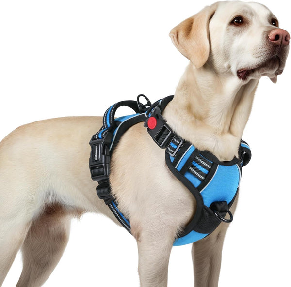 Rabbitgoo Dog Harness Medium Sized, Updated Easy on & off with 3 Buckles | No Pull No Choke, Walking with 2 Clips and Handle, Adjustable Soft Reflective, Blue, Medium62