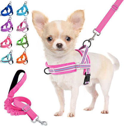 Lukovee No Pull Dog Harness and Leash Set, Soft Padded Small Dog Harness, Neck & Chest Adjustable Reflective Vest Puppy Harness with 4Ft Lightweight Anti-Twist Dog Leash for Small Dogs (XS, Blue)11