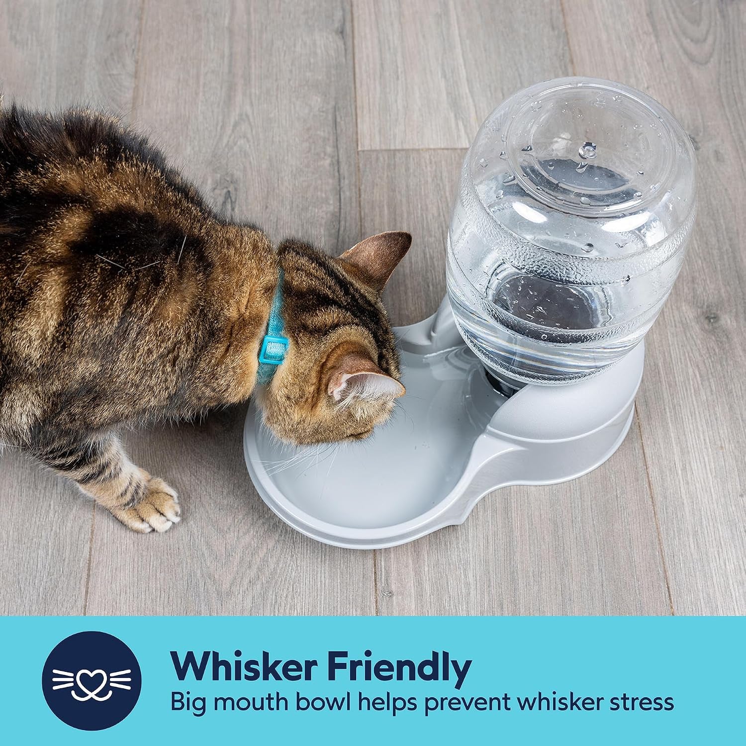 aspen-pet-lebistro-cat-and-dog-water-dispenser-made-in-usa
