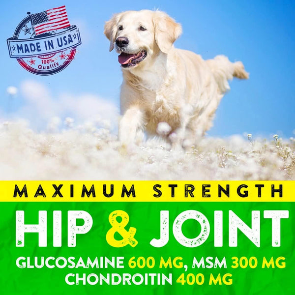 Hemp Hip and Joint Supplement for Dogs - Glucosamine for Dogs - 170 Dog Joint Pain Relief Treats - Chondroitin, Hemp Oil, MSM - Mobility & Flexibility Support - Advanced Care Health - Made in USA4