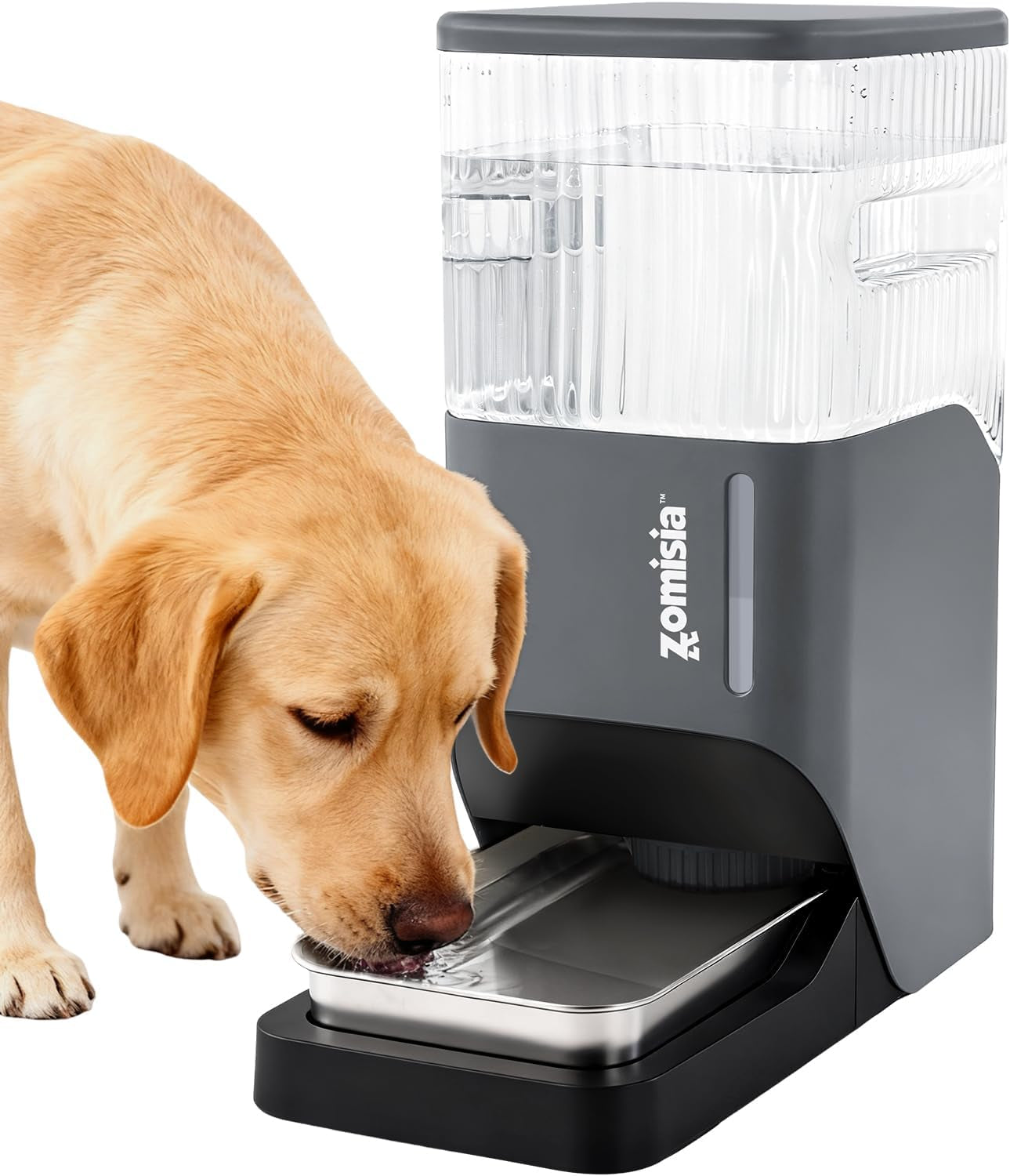 zomisia-automatic-dog-water-dispenser-8l-with-stainless-steel-bowl-gravity-large-capacity-water-bowl-for-dogs-2-gallon-pet-waterer-100-bpa-free-black