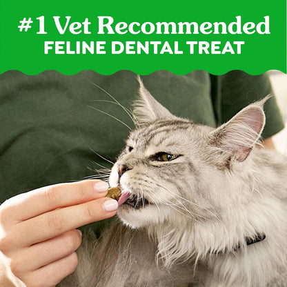 Greenies Feline Natural Crunchy Dental Cat Treats, Salmon Flavor, 21 Oz | #1 Vet-Recommended, Clinically-Proven Oral Care, 36% Less Tartar in 28 Days, Cleans to Gumline, Natural Ingredients4