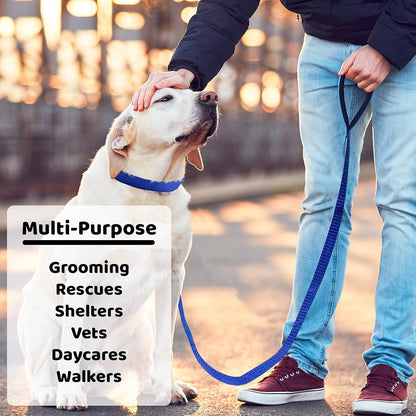 Downtown Pet Supply 6Ft Dog Kennel Slip Lead Leash for Dogs - Veterinarian, Grooming, Daycare & Animal Rescue Supplies - One Size Fits All - 1" Thick - 24 Pack6