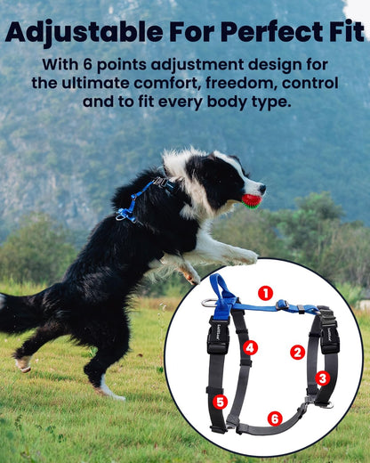 No Pull Dog Harness, Small, Purple/Black | Non Restrictive, Neck Buckle Design, Six Points Adjustment, Lightweight Easy Walk, Small Dogs Chest(17-23Inches)2