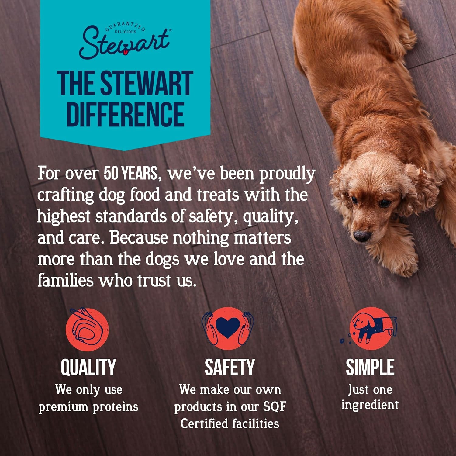 stewart-freeze-dried-dog-treats-100-beef-liver-3-5-oz-pouch-premium-quality-raw-protein-single-ingredient-high-protein-training-treats-food-topper-no-refrigeration-cat-friendly