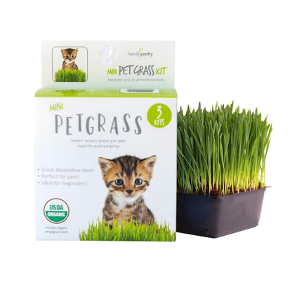 Handy Pantry Organic Cat Grass Kit - Includes 3 Trays, Soil Pucks, and 3 Packs Non GMO Wheatgrass Seed - a Healthy Treat for Cats, Dogs, Rabbits, More2