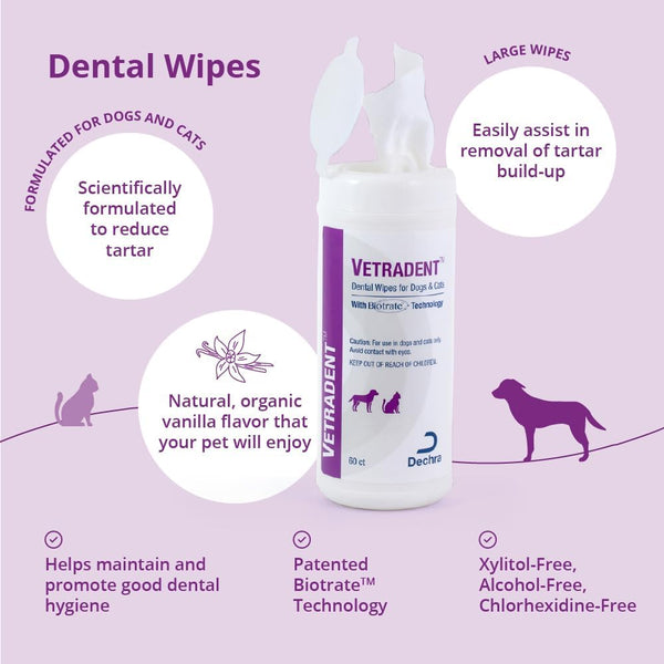 Dental Wipes, 60 Ct | Biotrate™ Technology; Xylitol-Free, Alcohol-Free; Packaging May Vary3