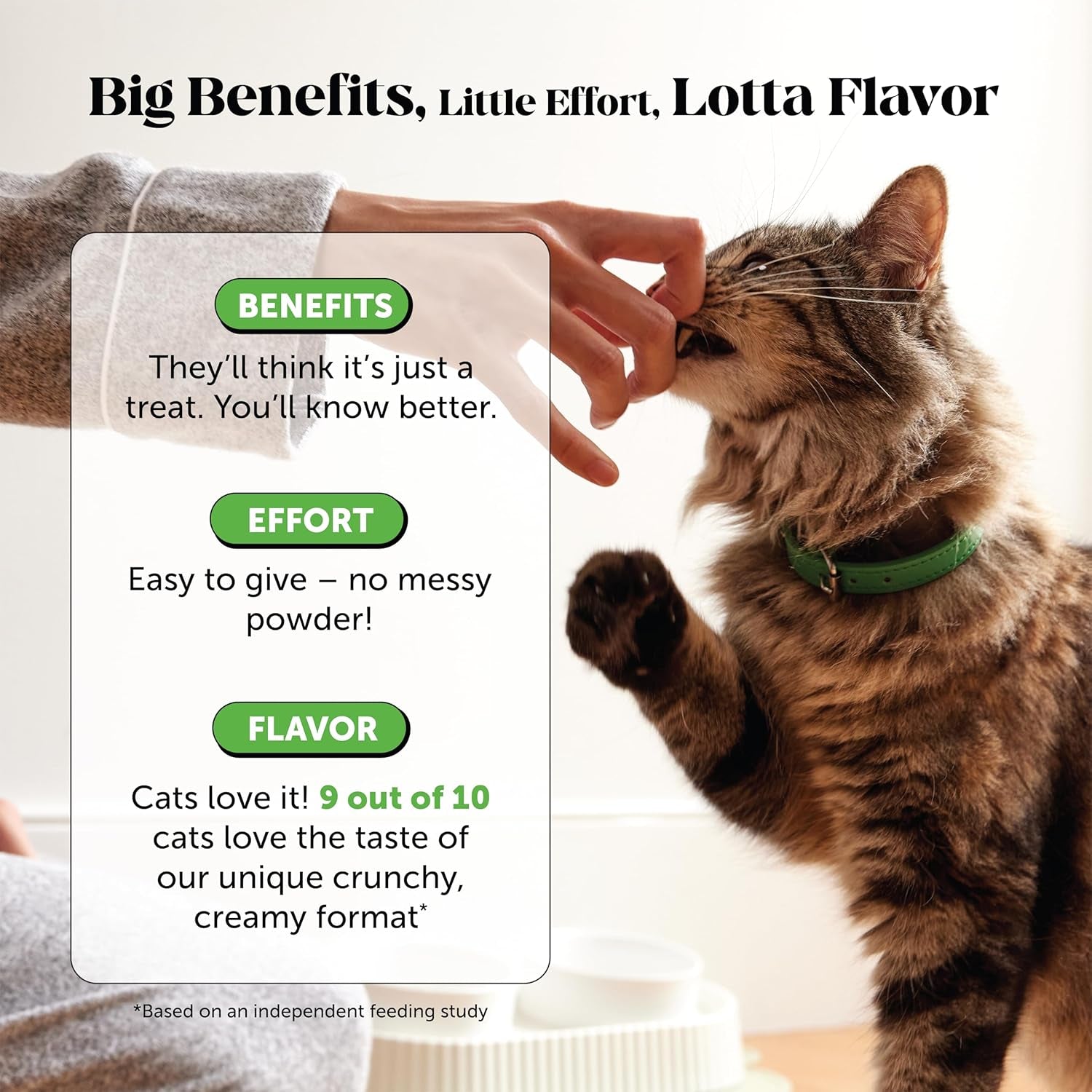 cat-probiotics-crunchy-creamy-chews-for-digestive-health-cat-constipation-occasional-diarrhea-relief-daily-probiotics-for-cats-with-prebiotics-fiber-gut-flora-sensitive-stomach-30-day-supply