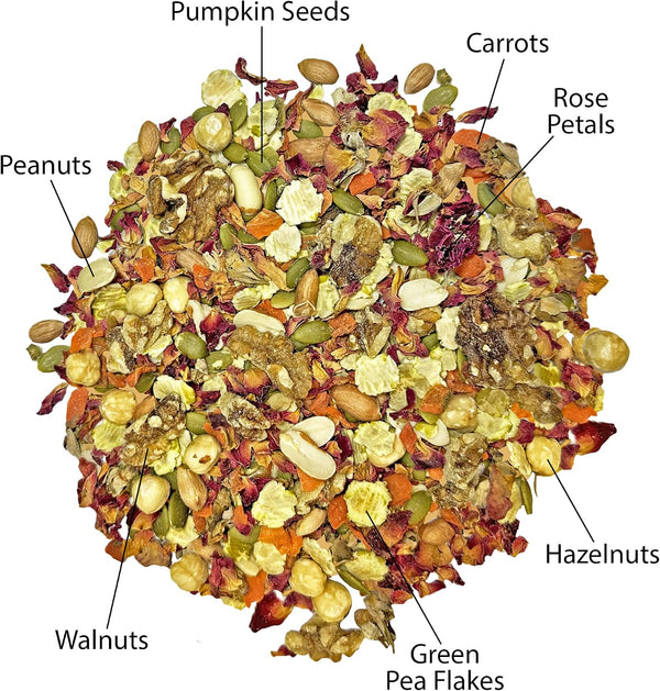 Exotic Nutrition Muncher Mix (3.5 Oz) - Natural & Nutritional Treat for Hamsters, Gerbils, Rats, Degus, and Squirrels2