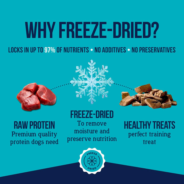 Stewart Freeze Dried Dog Treats, 100% Beef Liver, 21 Oz Tub | Premium Quality Raw Protein, Single Ingredient, High Protein Training Treats & Food Topper, No Refrigeration, Cat Friendly3