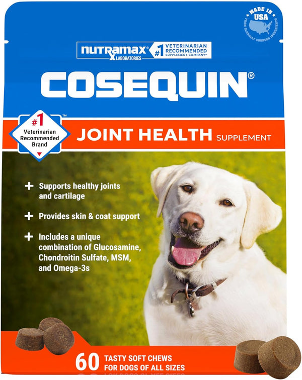 Nutramax Cosequin Dog Joint Supplement, Skin & Coat, Soft Chews, 60Ct | Glucosamine & Chondroitin for Dogs with MSM, Omega-3S, Supports Joints, Skin and Coat Health, All Ages & Sizes1