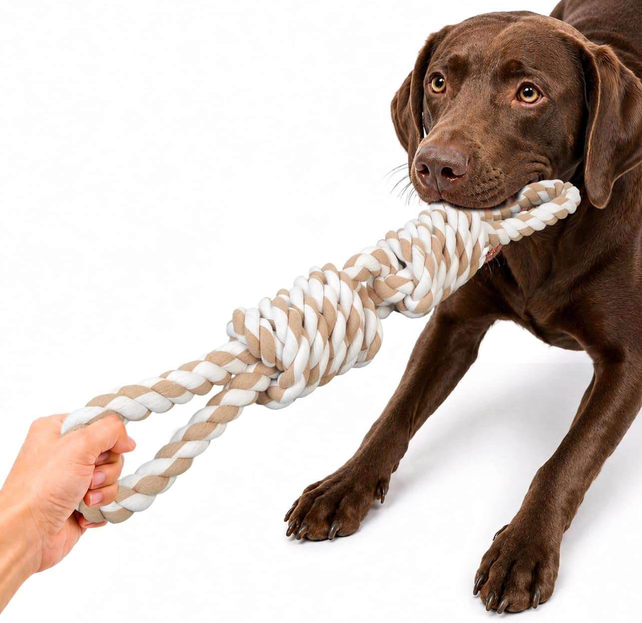 fida-dog-rope-toys-for-large-medium-aggressive-chewers-tough-cotton-chew-toy-3-feet-5-knots-indestructible-tug-of-war-dog-pull-rope-teeth-cleaning