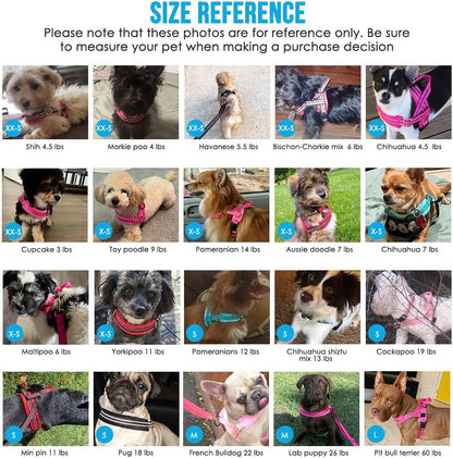 Lukovee No Pull Dog Harness and Leash Set, Soft Padded Small Dog Harness, Neck & Chest Adjustable Reflective Vest Puppy Harness with 4Ft Lightweight Anti-Twist Dog Leash for Small Dogs (XS, Blue)8