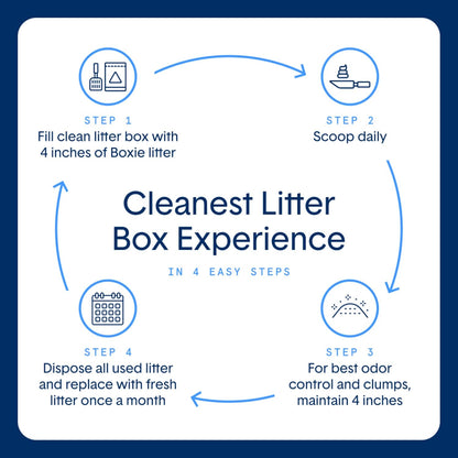Boxie Unscented Lightweight Cat Litter 30 Day Odor Control Dust Free 6.5 Lb5