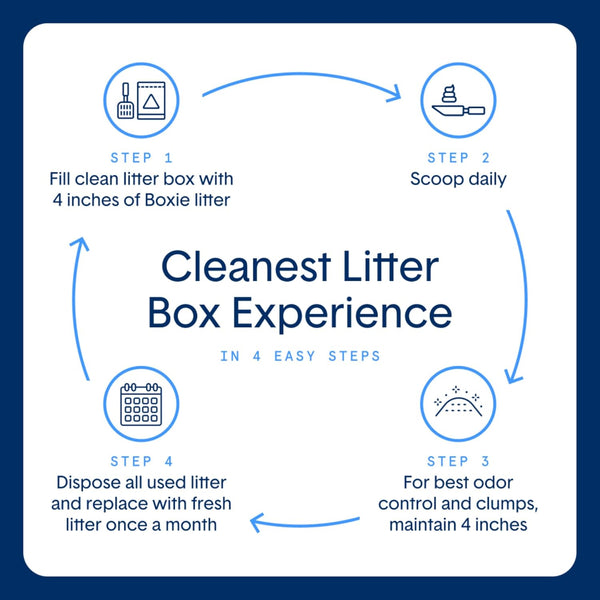 Boxie Unscented Lightweight Cat Litter 30 Day Odor Control Dust Free 6.5 Lb5