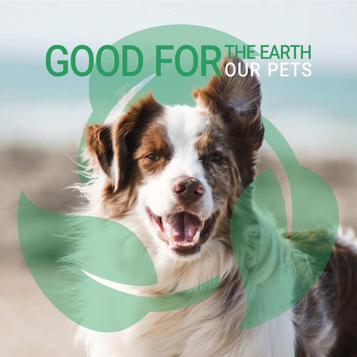 green-groom-pet-odor-eliminator-dog-shampoo-for-smelly-dogs-1-gallon-32-1-concentrate-makes-32-gallons-odortrol-deodorizing-grooming-wash-wet-dog-smell-remover-fresh-scent-natural-antioxidants