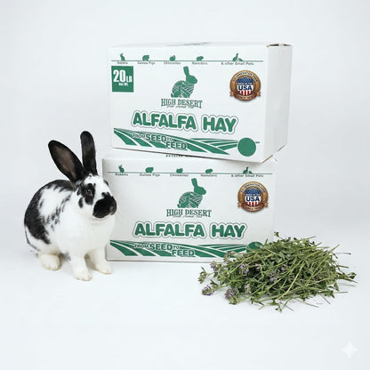 High Desert Alfalfa Hay, Protein Rich Soft Leaf Food for Young Growing Animals, Natural Rabbit Food and Guinea Pig Hay, Supports Digestive Health, Small Pet Supplies, Fresh Hand Packed 5 Lb Box | Protein Rich Soft Leaf Forage, Ideal for Growing Kits and Nursing Mothers, Great Calcium Source, Hand Packed, Low Dust12