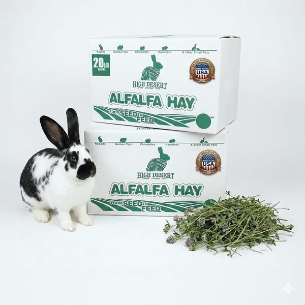 High Desert Alfalfa Hay, Protein Rich Soft Leaf Food for Young Growing Animals, Natural Rabbit Food and Guinea Pig Hay, Supports Digestive Health, Small Pet Supplies, Fresh Hand Packed 5 Lb Box | Protein Rich Soft Leaf Forage, Ideal for Growing Kits and Nursing Mothers, Great Calcium Source, Hand Packed, Low Dust12