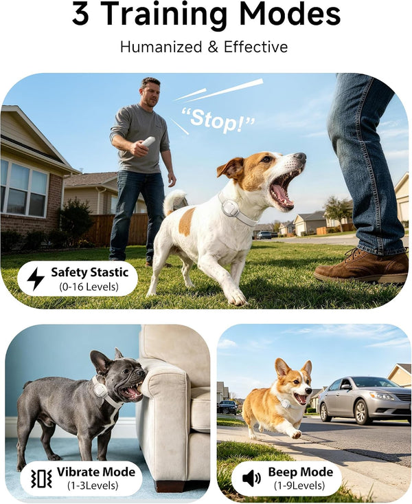Shock Collar for Small Dogs 5-30Lbs -IPX8 Waterproof,White | 4200FT Dog Training Collar with Remote,Rechargeable Electric Collar with 3 Modes, Security Lock3