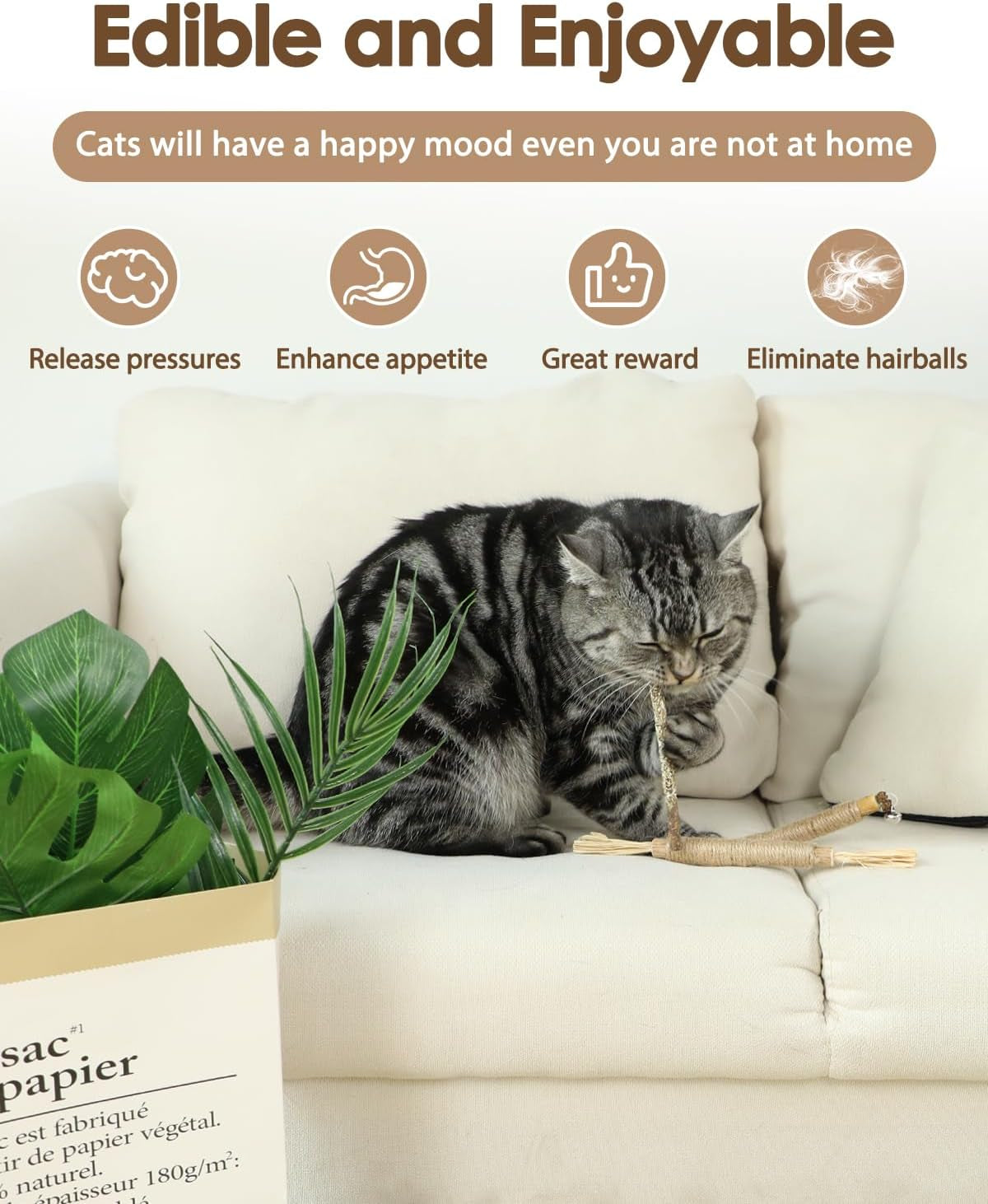 tocirelo-silvervine-sticks-for-cats-natural-cat-chew-toy-teeth-cleaning-6pack-matatabi-sticks-dental-care-kitten-treat-catnip-cat-teething-toys-catmint-silver-vine-sticks-for-bored-indoor-kitty