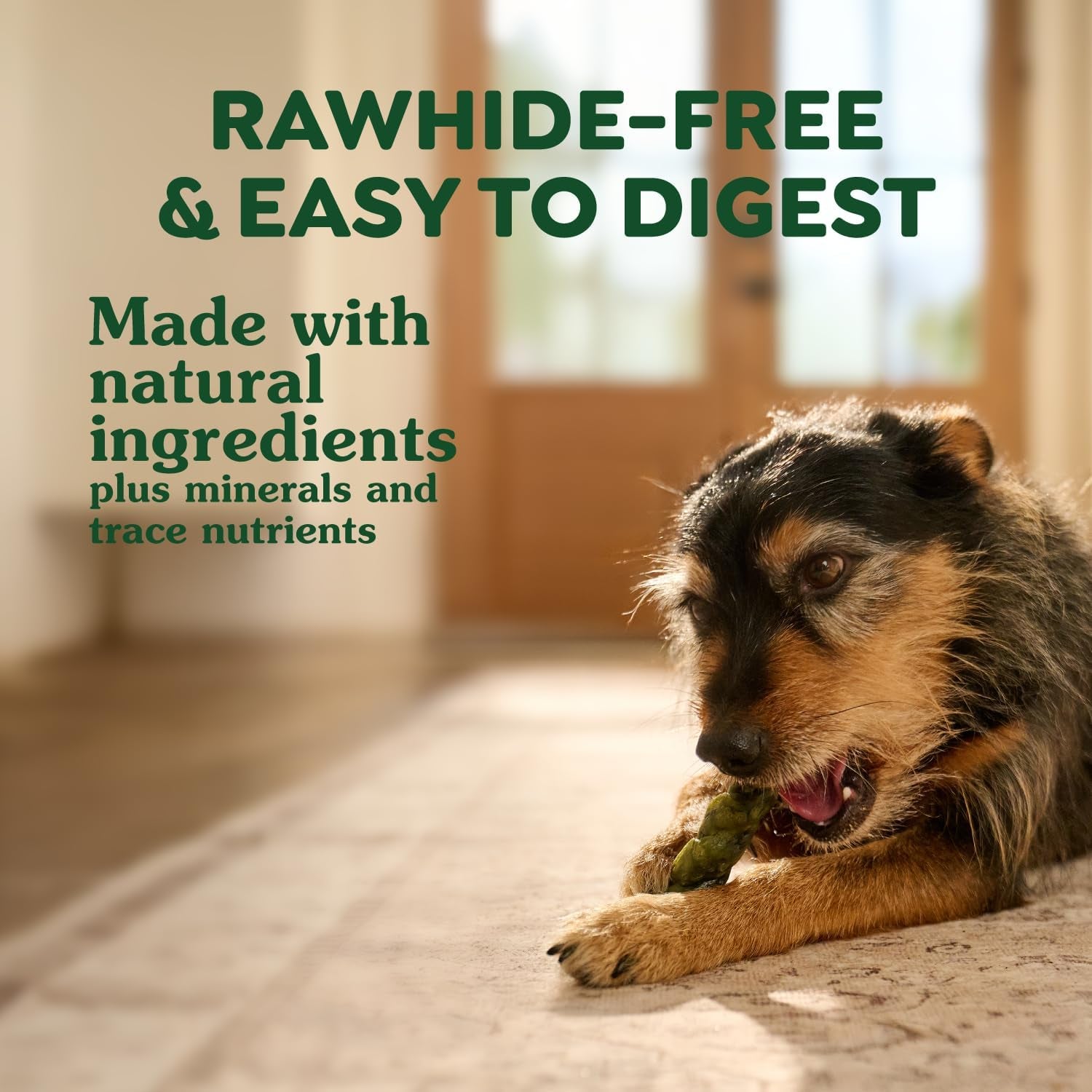 greenies-occupy-twists-petite-breed-dog-treats-chicken-flavor-10-count-for-dogs-15-25-lbs-rawhide-free-promotes-calmness-helps-clean-teeth-reduces-plaque-highly-digestible-8-75-oz