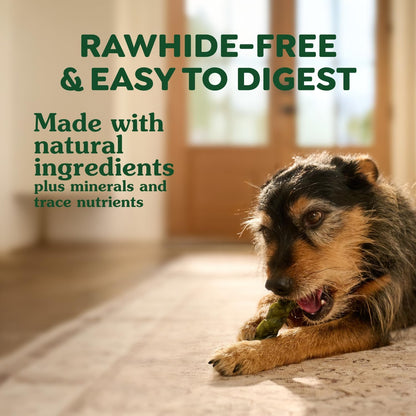 Greenies Occupy Twists Regular Breed Dog Treats, Chicken Flavor, 6 Count | Regular Breed Size (25-50 Lbs), Rawhide-Free, Promotes Calmness, Cleans Teeth, No Artificial Flavors, 8.65 Oz. Pack5