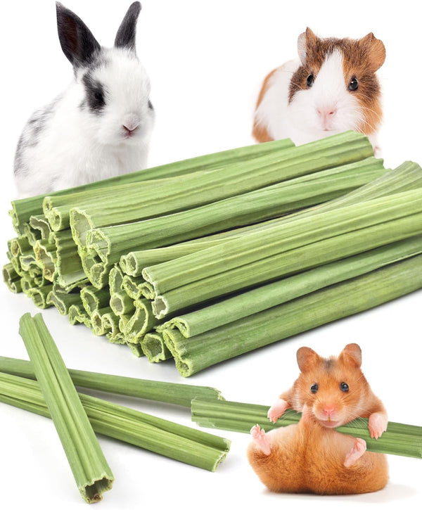 Bissap 35PCS Rabbit Chew Sticks, Natural Papaya Stems Bunny Chews Treats for Rabbit Hamster Chinchilla Guinea Pig Small Animals Organic Molar Chewing Snack1
