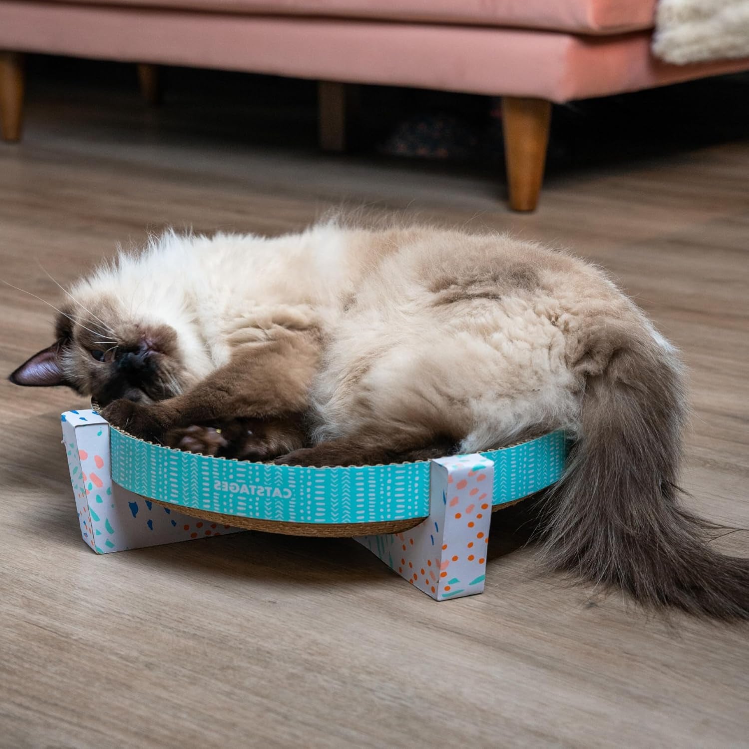 catstages-scratch-snuggle-rest-2-in-1-indoor-cat-scratcher-elevated-cat-lounger-catnip-included