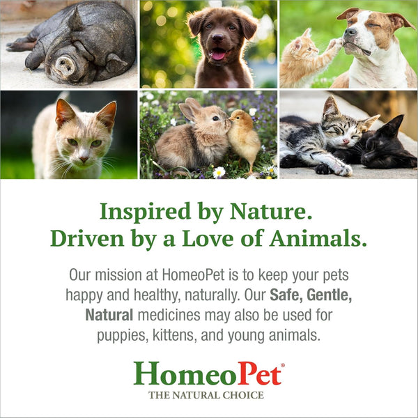 Homeopet Feline Nose Relief, Nasal Supplement for Cats, 15 Milliliters | Natural Nasal and Sinus Support for Cats, Safe and Gentle Homeopathic Formula, Liquid Drops Suitable for Daily Use6
