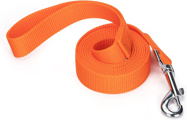 Strong Durable Nylon 10Ft Long Dog Training Leash, Traction Rope, 1 Inch Wide, for Small and Medium Dog (Black, 10 Feet)27