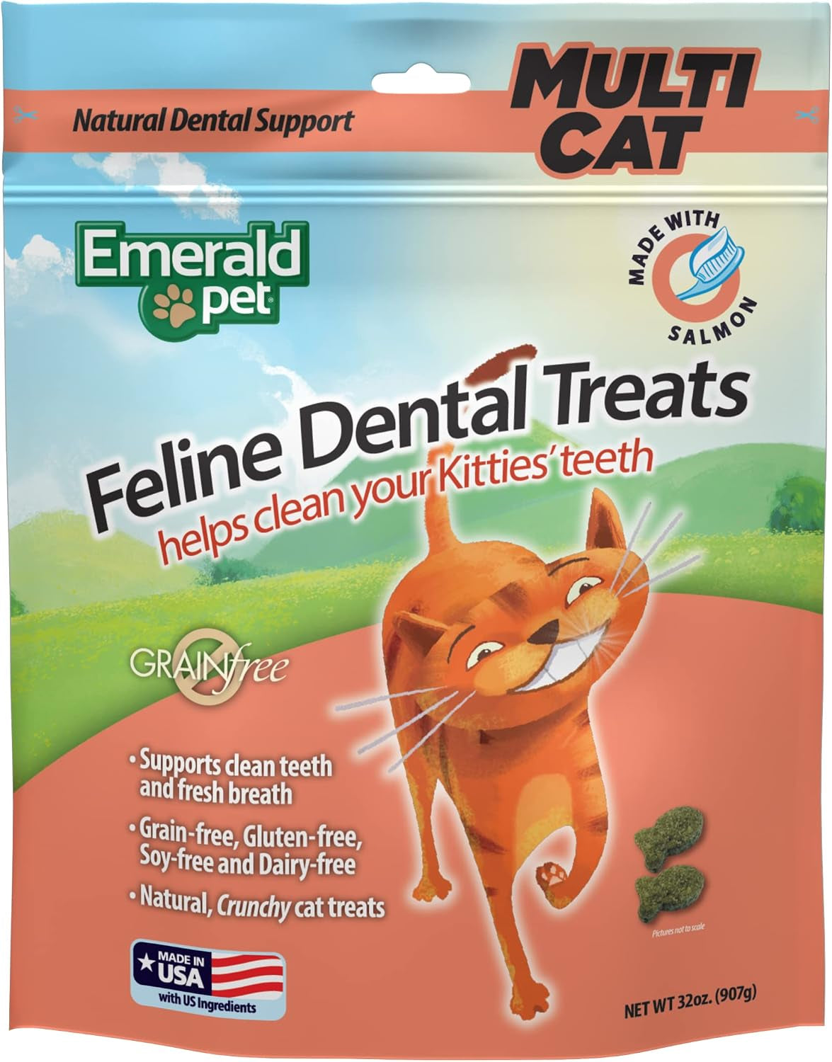 emerald-pet-grain-free-cat-dental-treats-with-salmon-crunchy-natural-dental-treats-for-cats-to-clean-teeth-freshen-breath-and-reduce-plaque-tartar-11-oz-tub