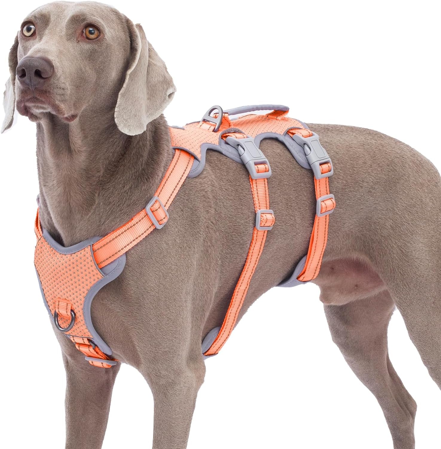 huntboo-escape-proof-harness-no-slip-dog-harness-escape-proof-fully-reflective-harness-with-handle-breathable-durable-adjustable-vest-for-medium-dogs-walking-and-training-gear-black-m