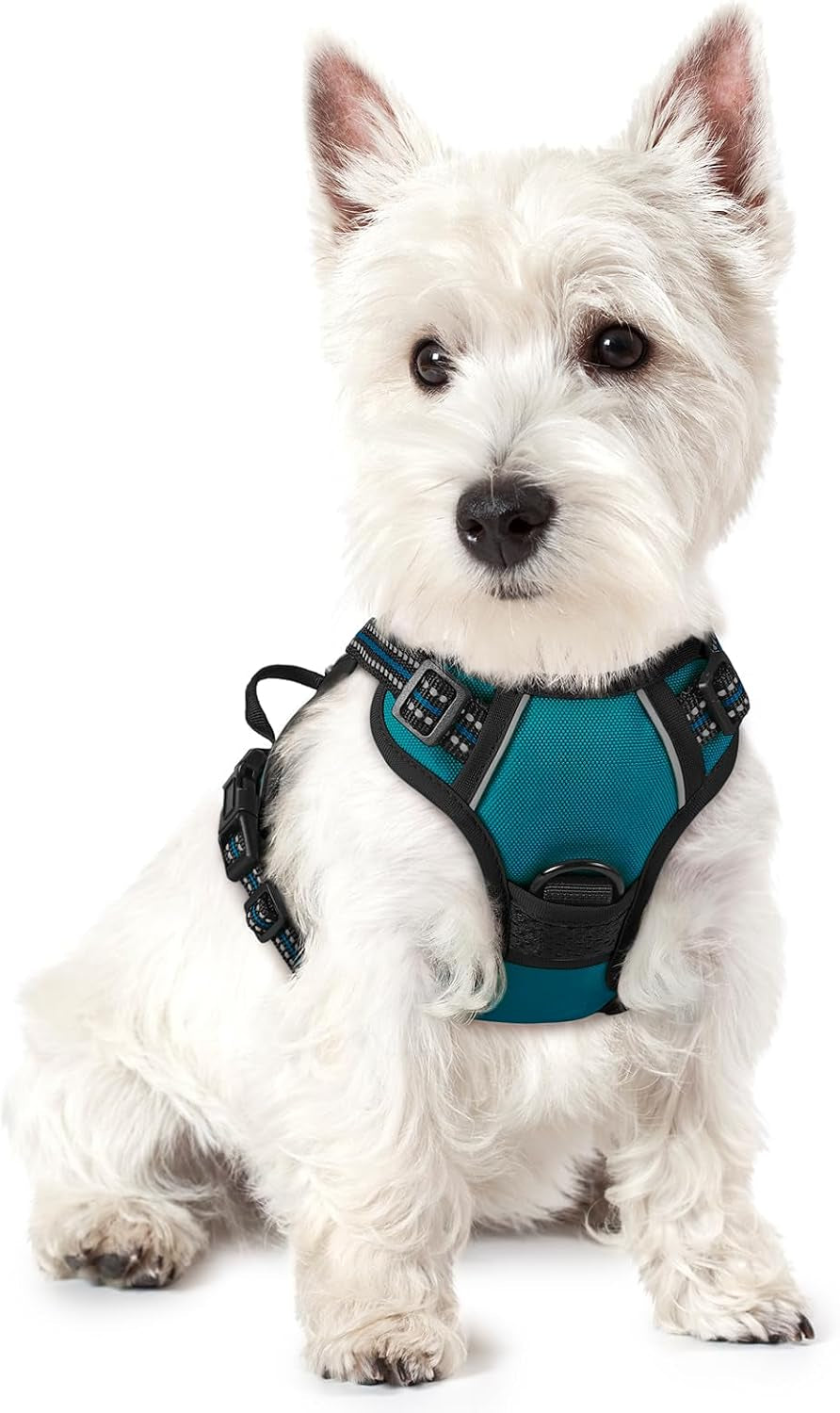 rabbitgoo-dog-harness-no-pull-for-large-dogs-with-2-leash-clips-pet-vest-no-choke-with-handle-adjustable-soft-padded-reflective-easy-control-for-walking-black-large