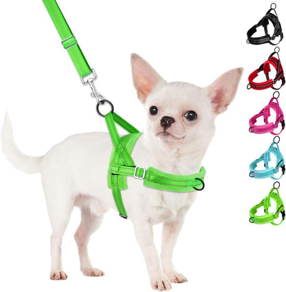 Slowton No Pull Small Dog Harness and Leash Set, Puppy Soft Vest Harness Neck & Chest Adjustable, Reflective Lightweight Harness & Anti-Twist Pet Lead Combo for Small Medium Dogs (Fuchsia, XXS)15